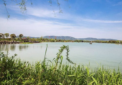 清明出游好去處 全國多景區(qū)免費(fèi)開放，沙家浜成無錫游客優(yōu)選