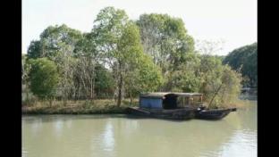 紅色水鄉，詩畫沙家浜——一段穿越歷史與自然的旅程